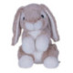 Conejo Peluche 23 cm Varios Modelos